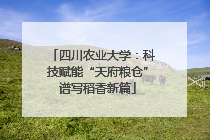 四川农业大学：科技赋能“天府粮仓”谱写稻香新篇