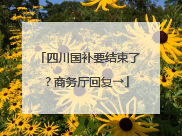 四川国补要结束了？商务厅回复→