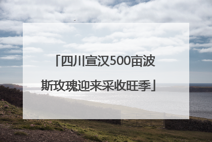 四川宣汉500亩波斯玫瑰迎来采收旺季