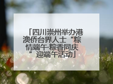 四川崇州举办港澳侨台界人士“粽情端午·粽香同庆”迎端午活动