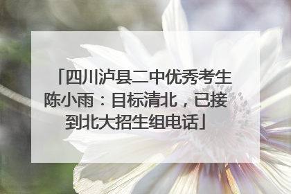 四川泸县二中优秀考生陈小雨：目标清北，已接到北大招生组电话
