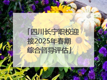 四川长宁职校迎接2025年春期综合督导评估