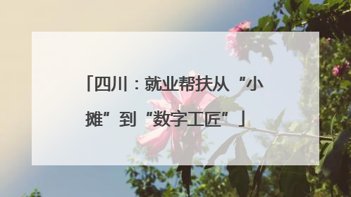 四川：就业帮扶从“小摊”到“数字工匠”