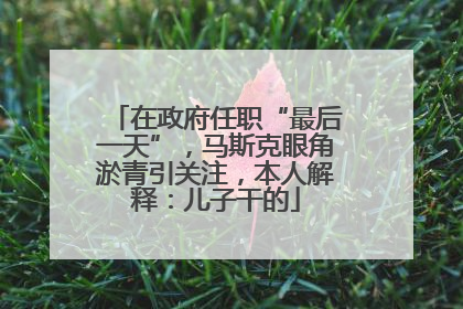 在政府任职“最后一天”，马斯克眼角淤青引关注，本人解释：儿子干的