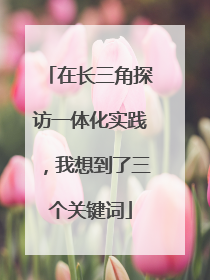 在长三角探访一体化实践，我想到了三个关键词