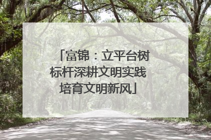 富锦：立平台树标杆深耕文明实践培育文明新风
