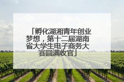 孵化湖湘青年创业梦想，第十二届湖南省大学生电子商务大赛圆满收官