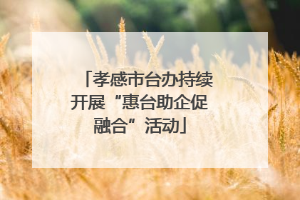 孝感市台办持续开展“惠台助企促融合”活动