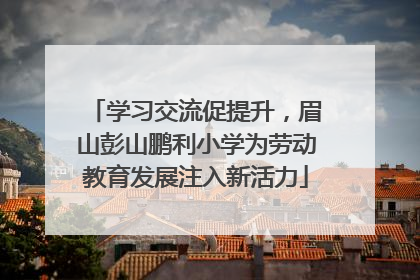 学习交流促提升，眉山彭山鹏利小学为劳动教育发展注入新活力