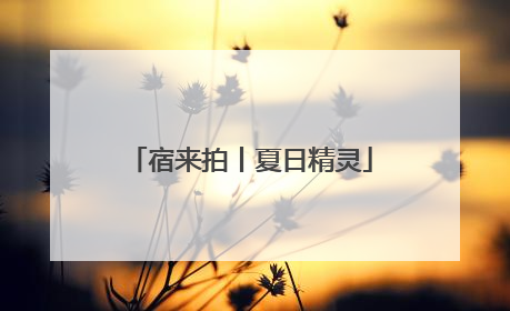 宿来拍丨夏日精灵