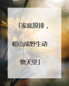 家底摸排，崂山成野生动物天堂