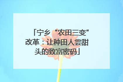 宁乡“农田三变”改革：让种田人尝甜头的致富密码