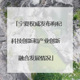 宁夏权威发布枸杞科技创新和产业创新融合发展情况