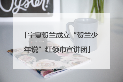 宁夏贺兰成立“贺兰少年说”红领巾宣讲团