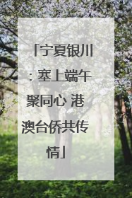 宁夏银川：塞上端午聚同心 港澳台侨共传情