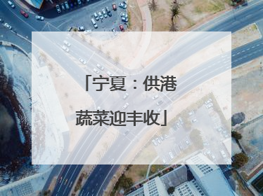 宁夏：供港蔬菜迎丰收