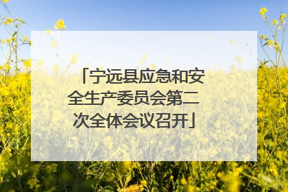 宁远县应急和安全生产委员会第二次全体会议召开