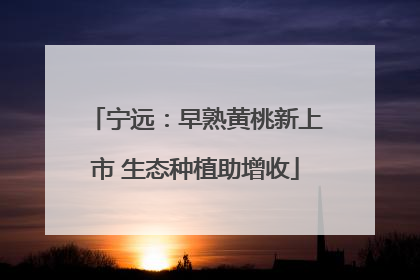 宁远：早熟黄桃新上市 生态种植助增收