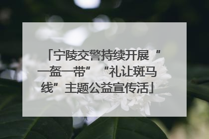 宁陵交警持续开展“一盔一带”“礼让斑马线”主题公益宣传活