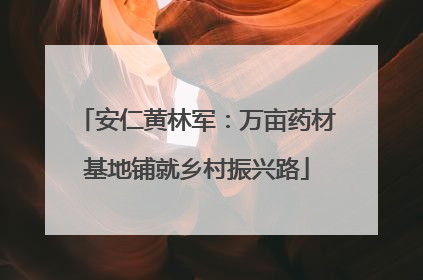 安仁黄林军：万亩药材基地铺就乡村振兴路