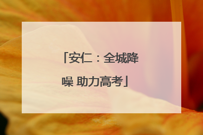 安仁：全城降噪 助力高考