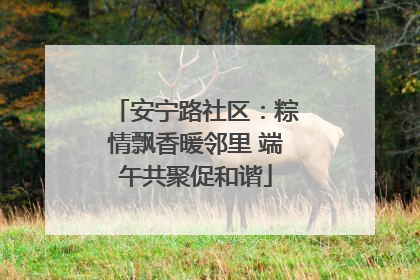 安宁路社区：粽情飘香暖邻里 端午共聚促和谐
