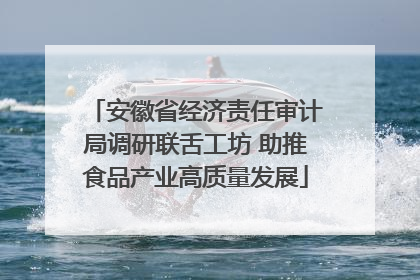 安徽省经济责任审计局调研联舌工坊 助推食品产业高质量发展