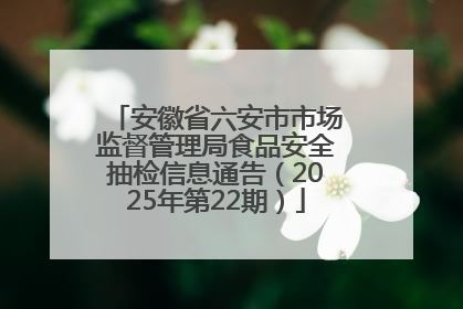 安徽省六安市市场监督管理局食品安全抽检信息通告（2025年第22期）