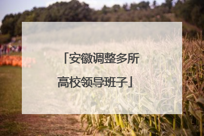 安徽调整多所高校领导班子