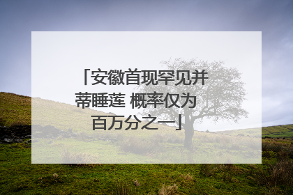 安徽首现罕见并蒂睡莲 概率仅为百万分之一