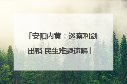 安阳内黄：巡察利剑出鞘 民生难题速解