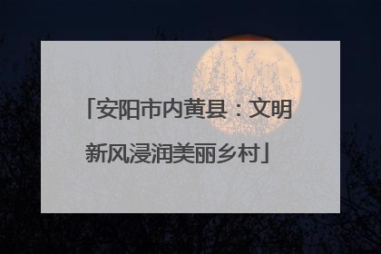 安阳市内黄县：文明新风浸润美丽乡村