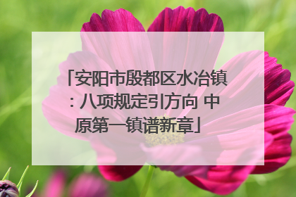 安阳市殷都区水冶镇：八项规定引方向 中原第一镇谱新章