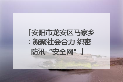 安阳市龙安区马家乡：凝聚社会合力 织密防汛“安全网”