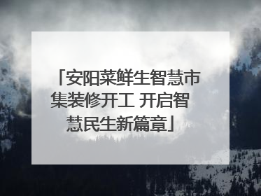 安阳菜鲜生智慧市集装修开工 开启智慧民生新篇章