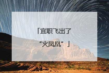 宜职飞出了“火凤凰”