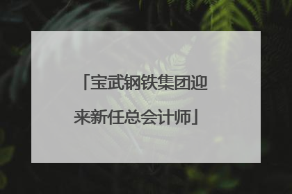 宝武钢铁集团迎来新任总会计师