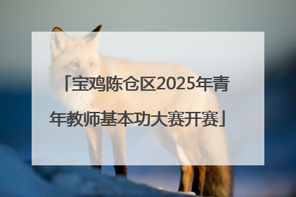 宝鸡陈仓区2025年青年教师基本功大赛开赛