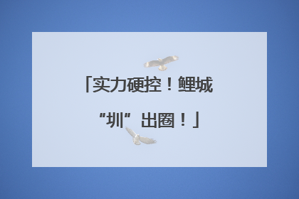 实力硬控！鲤城“圳”出圈！