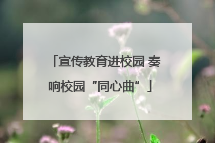 宣传教育进校园 奏响校园“同心曲”