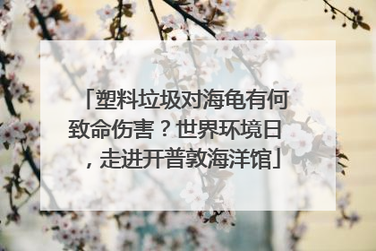 塑料垃圾对海龟有何致命伤害？世界环境日，走进开普敦海洋馆