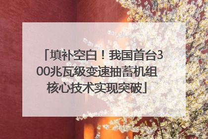 填补空白！我国首台300兆瓦级变速抽蓄机组核心技术实现突破