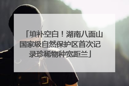 填补空白！湖南八面山国家级自然保护区首次记录珍稀物种宽距兰