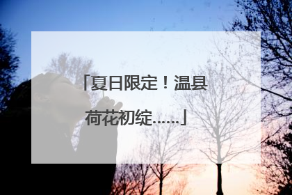 夏日限定！温县荷花初绽……