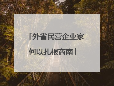 外省民营企业家何以扎根商南