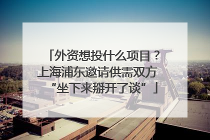 外资想投什么项目？上海浦东邀请供需双方“坐下来掰开了谈”