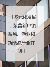 多元化发展，东营新户镇盐场、渔业和新能源产业并进