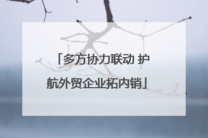 多方协力联动 护航外贸企业拓内销