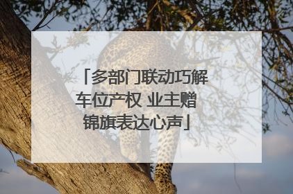 多部门联动巧解车位产权 业主赠锦旗表达心声