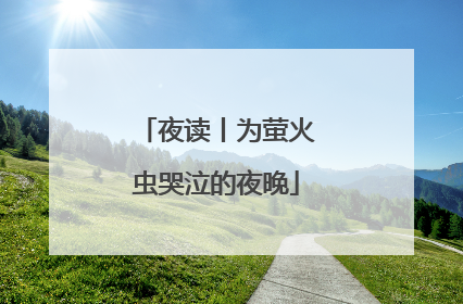 夜读丨为萤火虫哭泣的夜晚